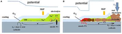 Application of Scanning Kelvin Probe in the Study of Protective Paints